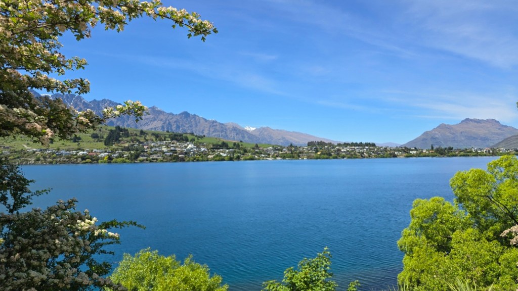 “The Prophecy of the Seventh Elizabeth Has Landed in New Zealand!&nbsp;📚🌏”